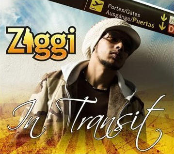 Ziggi - In Transit